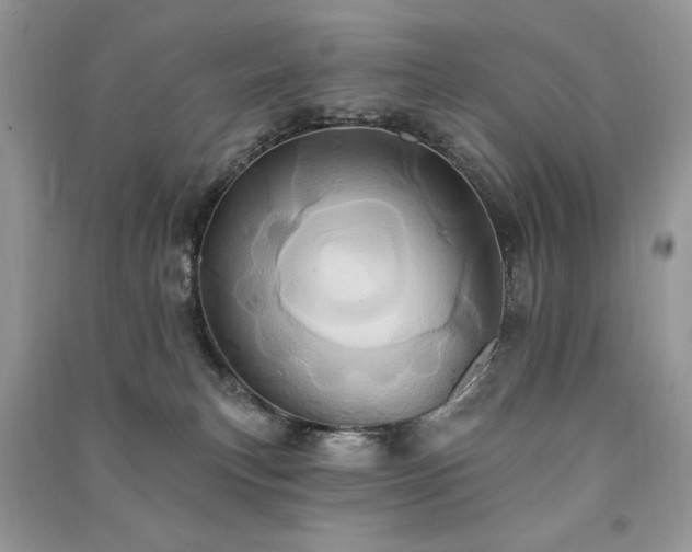 X0000091290183200708101254