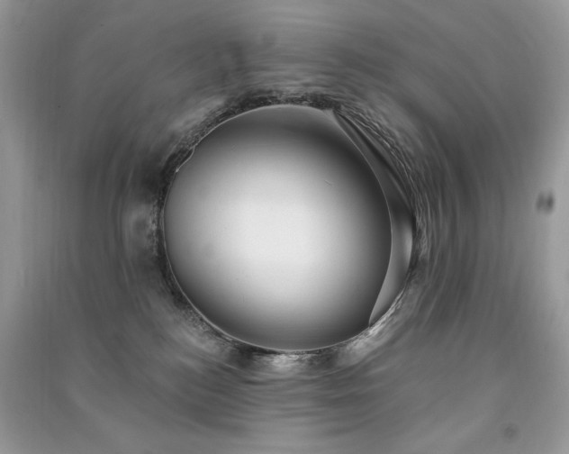 X0000091290184200708101254