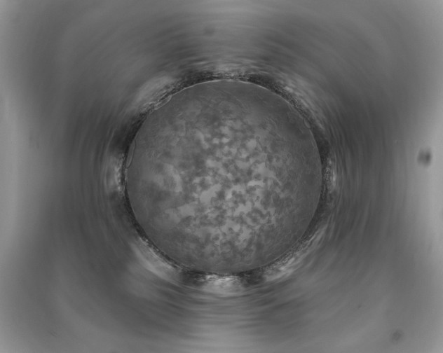 X0000091290185200708101254