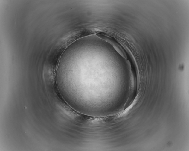 X0000091290186200708101254