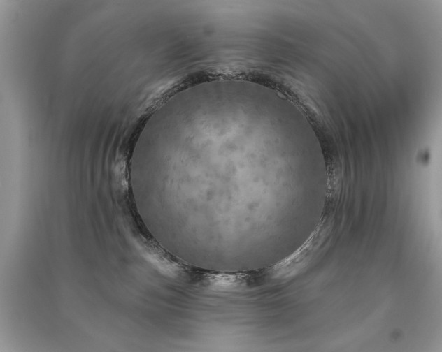 X0000091290187200708101254