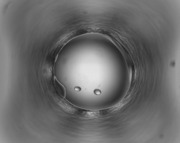 X0000091290188200708101254