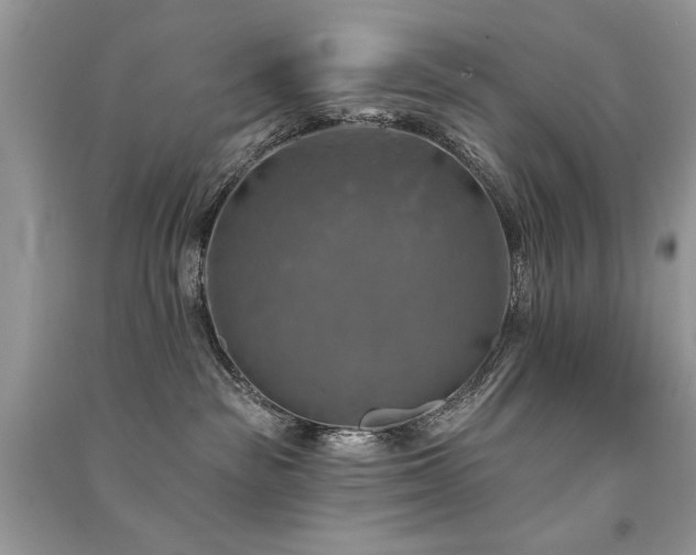 X0000091290189200708101254