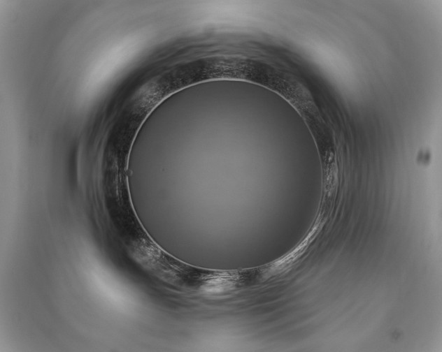 X0000091290191200708101254