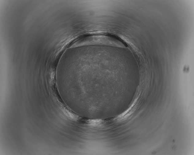 X0000091290192200708101254