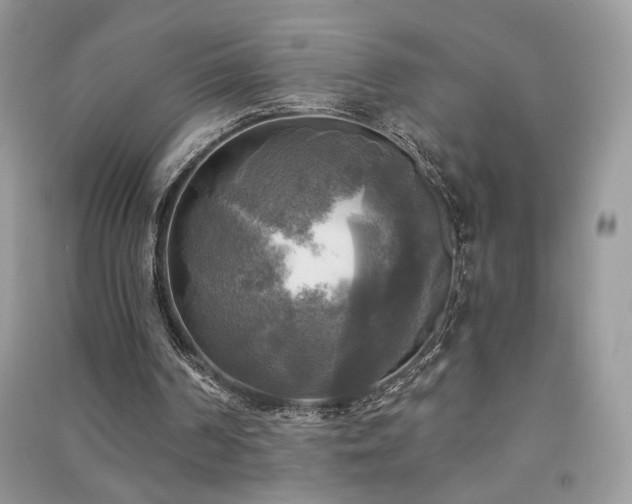 X0000091290194200708101253