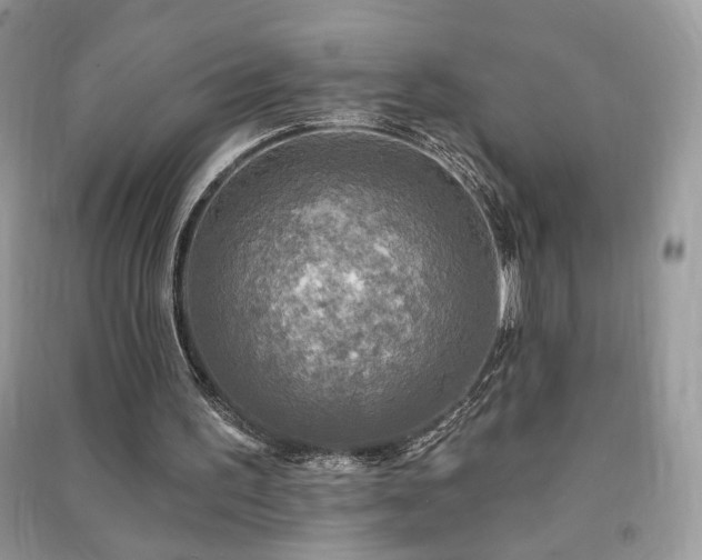 X0000091290195200708101253