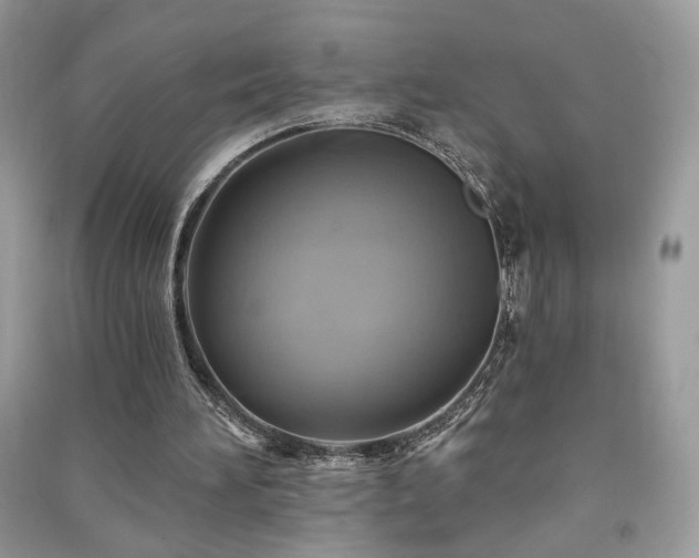 X0000091290196200708101253