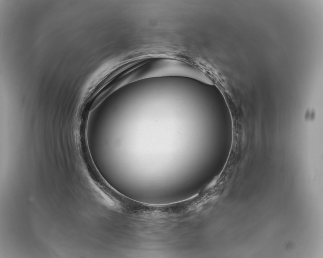 X0000091290197200708101253