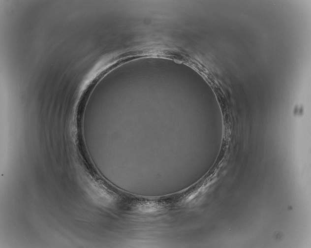 X0000091290198200708101253