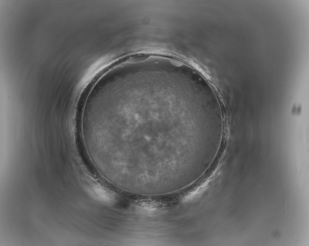 X0000091290199200708101253