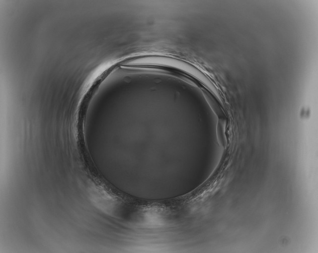 X0000091290200200708101253