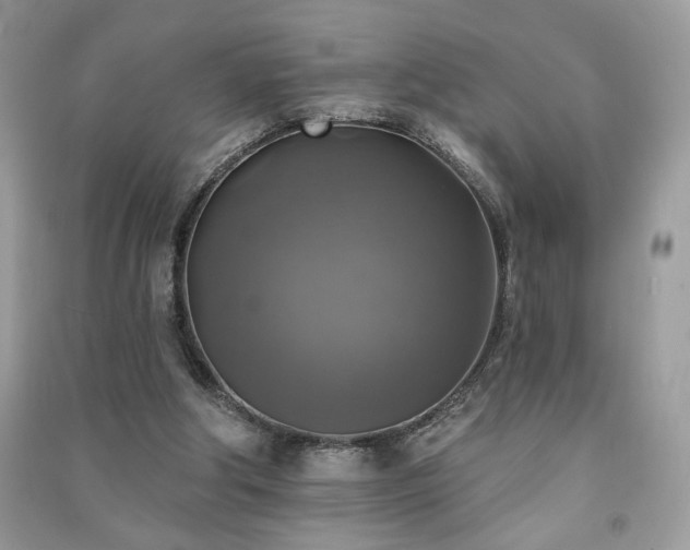 X0000091290202200708101253