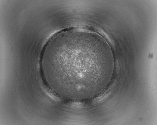 X0000091290203200708101253