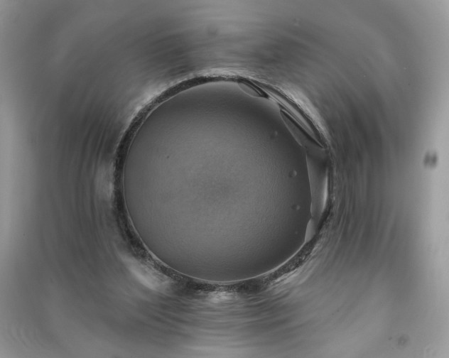 X0000091290204200708101253