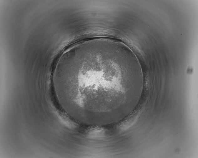 X0000091290206200708101253