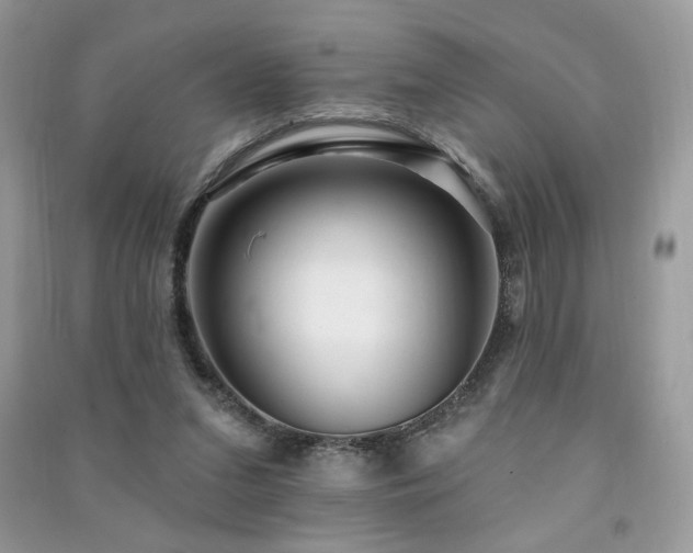 X0000091290207200708101253