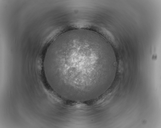 X0000091290210200708101253