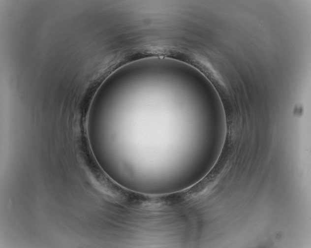 X0000091290213200708101253