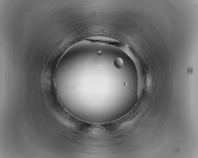 X0000091290215200708101253