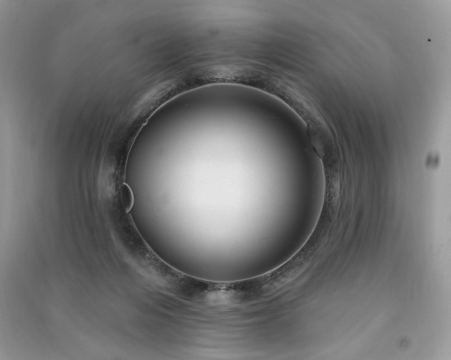 X0000091290216200708101253