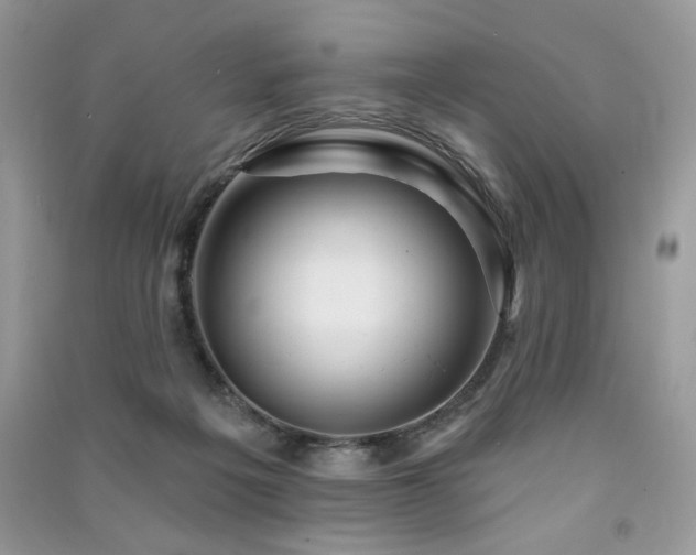 X0000091290217200708101253