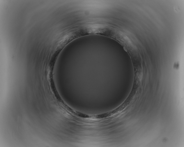 X0000091290219200708101253