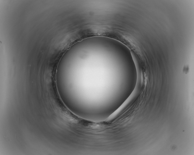 X0000091290221200708101253