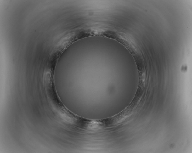 X0000091290222200708101253