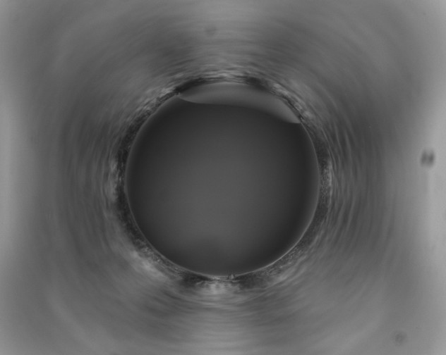 X0000091290223200708101253