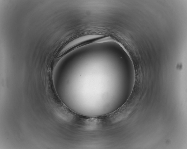 X0000091290225200708101253