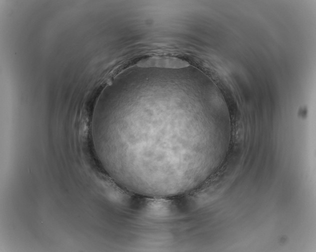 X0000091290226200708101253