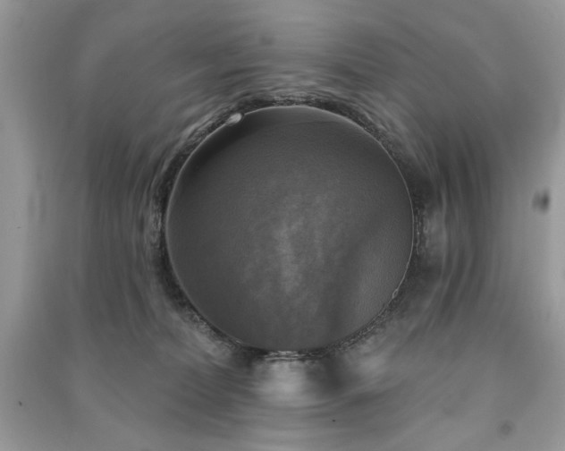 X0000091290228200708101253