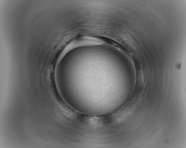 X0000091290229200708101253