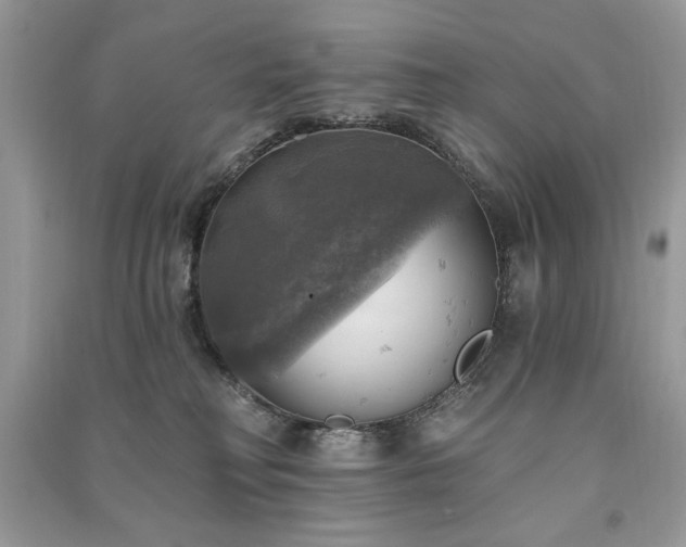 X0000091290230200708101253