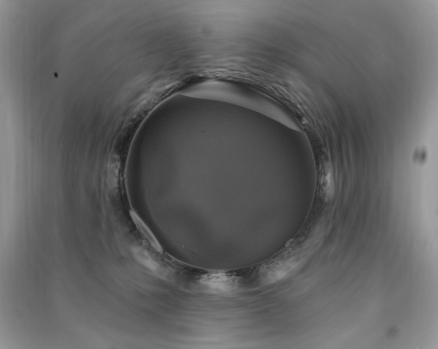 X0000091290231200708101253