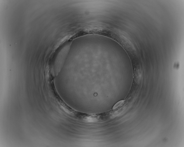 X0000091290232200708101253