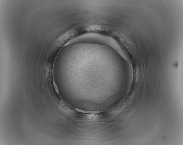 X0000091290233200708101252