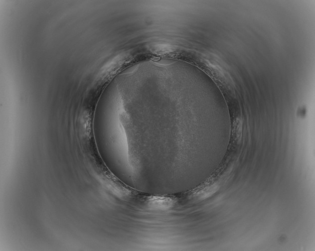 X0000091290234200708101252