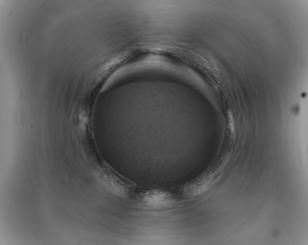 X0000091290235200708101252