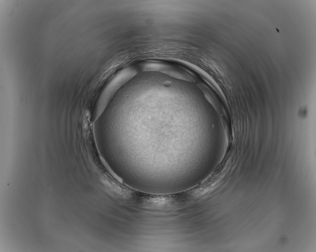 X0000091290237200708101252