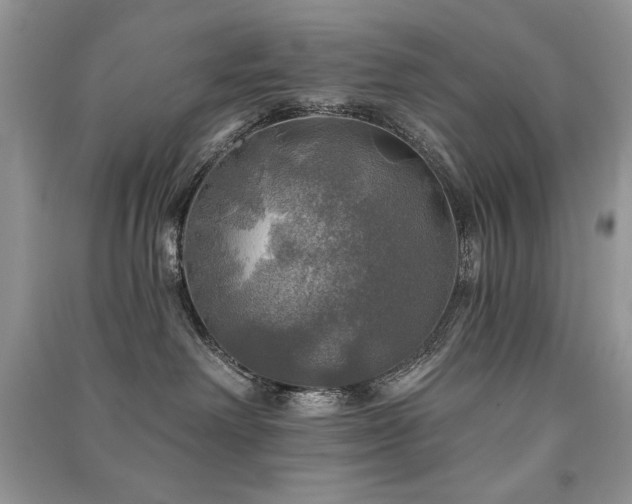 X0000091290238200708101252