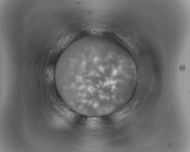 X0000091290240200708101252