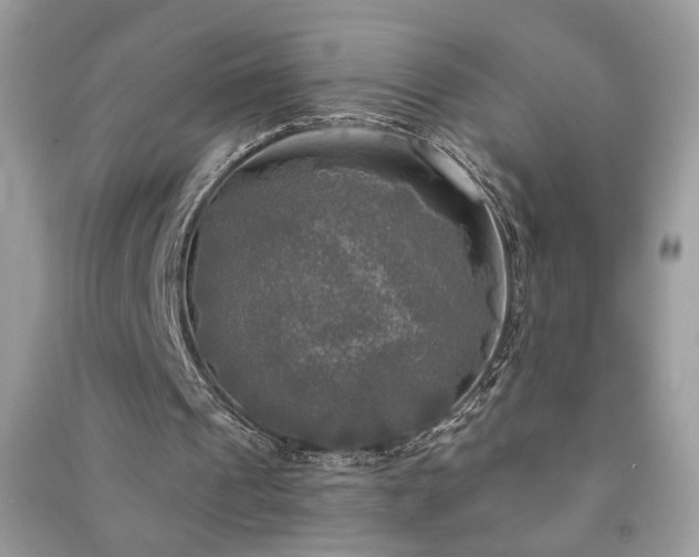 X0000091290241200708101252