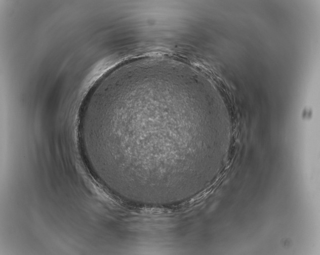 X0000091290242200708101252