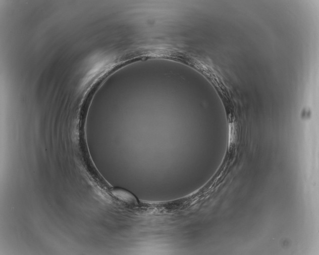 X0000091290243200708101252