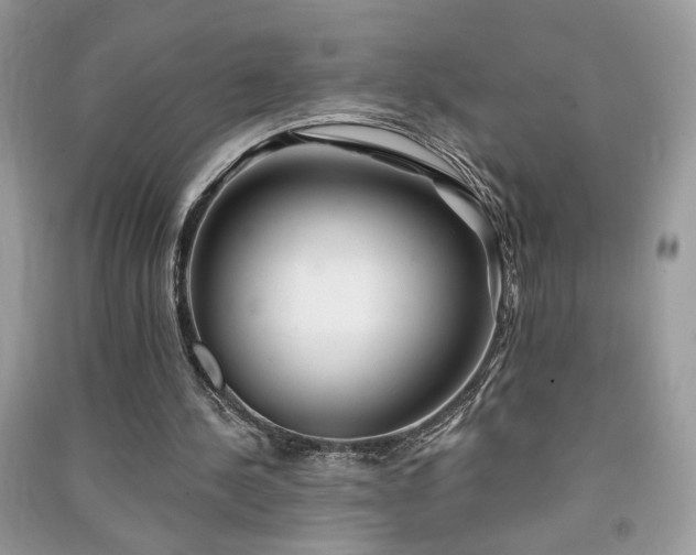 X0000091290244200708101252