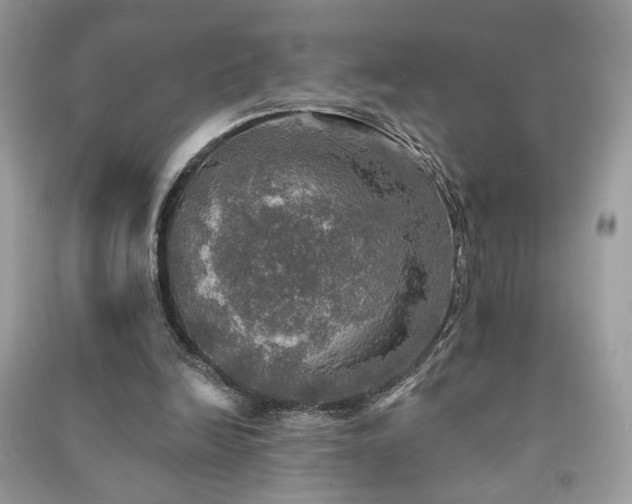 X0000091290246200708101252