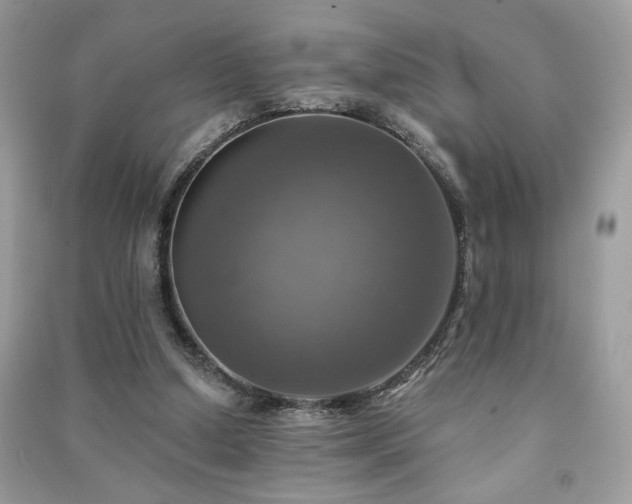 X0000091290250200708101252