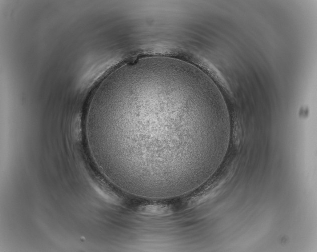 X0000091290251200708101252